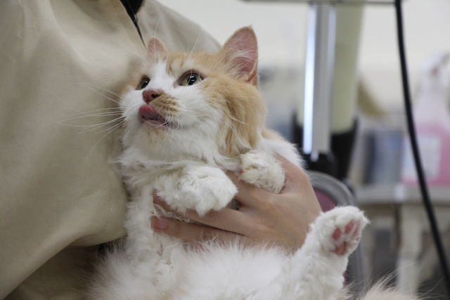 専門学校 大阪ビジネス・アカデミー