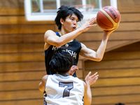 バスケットボールコース学部・学科・コース情報