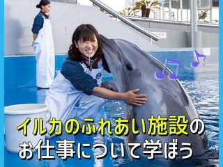 イルカのふれあい施設のお仕事について学ぼうの画像