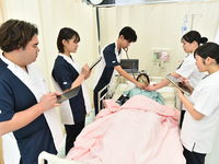 看護学科学部・学科・コース情報