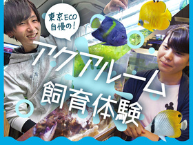 東京ECO自慢のアクアルーム飼育体験