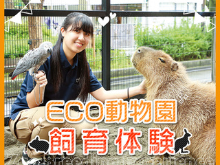 ECO動物園飼育体験の画像
