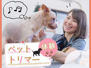 ペットトリマー体験の画像