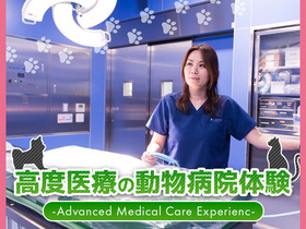 高度医療動物病院のお仕事体験