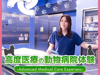 高度医療動物病院のお仕事体験の画像