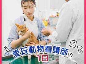 愛玩動物看護師の１日