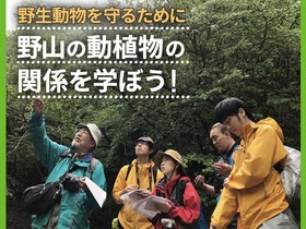 野生動物を守るために野山と動植物の関係を学ぼう