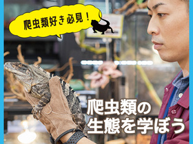 爬虫類好き必見！爬虫類の生態を学ぼう
