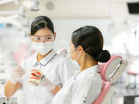 歯科衛生士科学部・学科・コース情報
