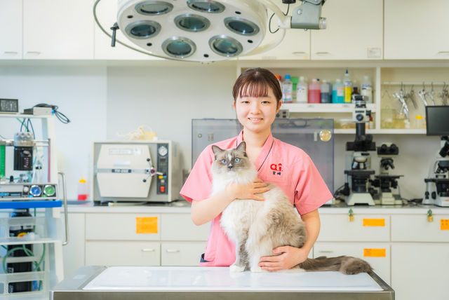 動物看護･栄養管理学科 動物の命と健康、幸せを守る！