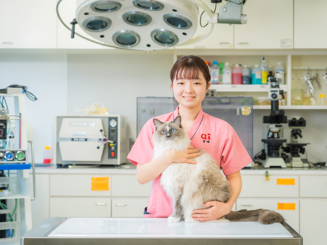 動物看護･栄養管理学科 動物の命と健康、幸せを守る！