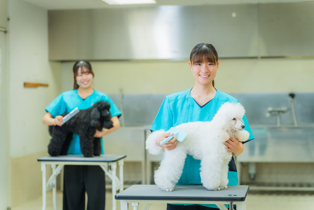 トリマー学科 ペットも飼い主様も笑顔にできるトリマーに！
