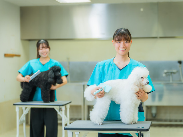 トリマー学科 ペットも飼い主様も笑顔にできるトリマーに！
