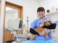 総合動物看護・大学科学部・学科・コース情報