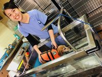 動物看護師・リハビリ介護学科学部・学科・コース情報