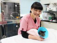 動物看護師・美容学科学部・学科・コース情報