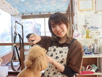 ペット美容学科学部・学科・コース情報