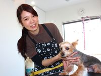 ペットケア・ビューティ学科学部・学科・コース情報