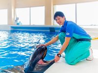 海洋生物･自然環境・大学科学部・学科・コース情報