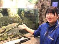 水族館・アクアリウム学科学部・学科・コース情報