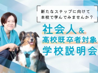 社会人・高校既卒者向け説明会の画像