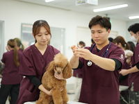 愛玩動物看護師学科学部・学科・コース情報