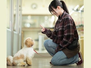 学部・学科・コース情報