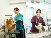 トリマーナースコース学部・学科・コース情報