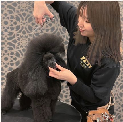 群馬トリマー専門学院 101GROOMINGSCHOOL