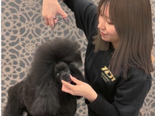 群馬トリマー専門学院 101GROOMINGSCHOOL
