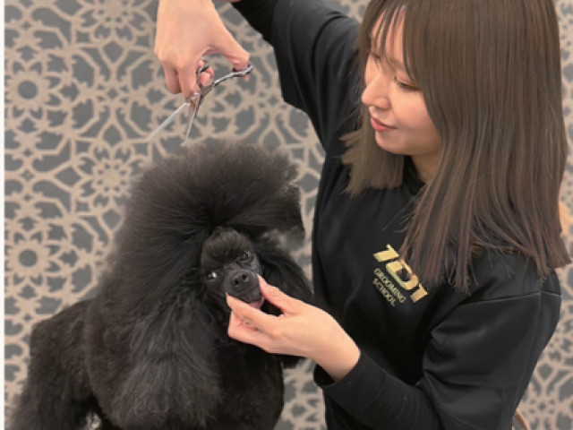 群馬トリマー専門学院 101GROOMINGSCHOOL