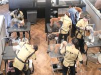フリータイムコース学部・学科・コース情報