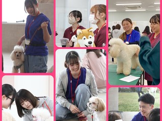 【高校3年生・社会人対象】個別なんでも相談会★の画像