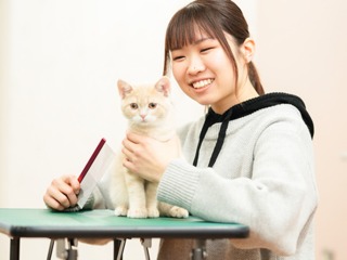 注目のカリキュラム