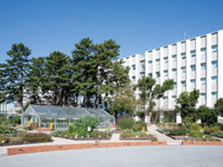 薬学部キャンパス見学会2025の画像