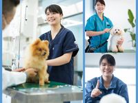 アニマルライフサポートコース学部・学科・コース情報
