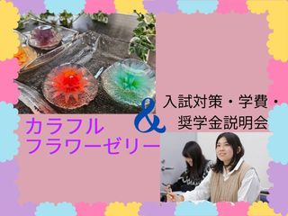 8/8（金）【W講座】カラフルフラワーゼリー講座×入試対策・学費・奨学金 説明会の画像