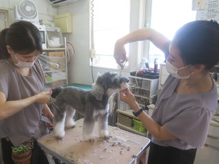 【企業コラボSPECIAL】オープンキャンパスの画像