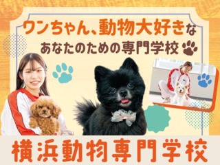 横浜動物専門学校