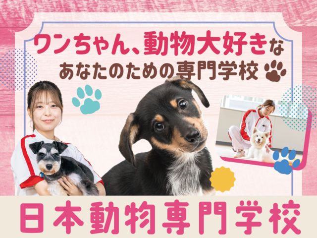 日本動物専門学校