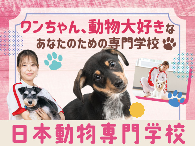 日本動物専門学校