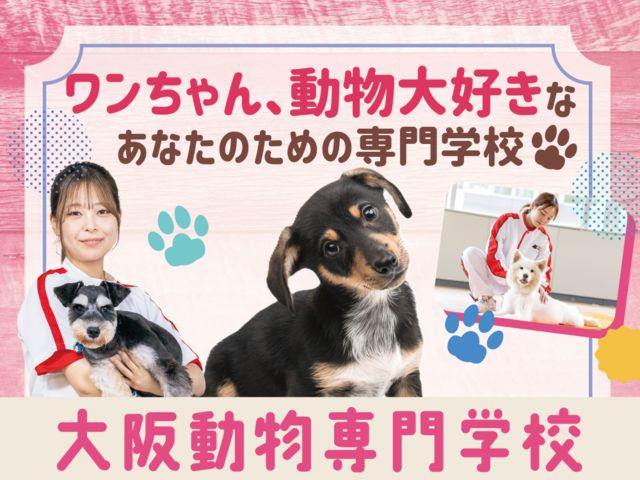 大阪動物専門学校