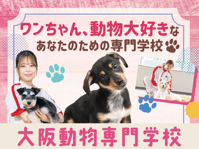 大阪動物専門学校