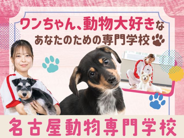 名古屋動物専門学校