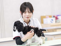 動物看護師専攻学部・学科・コース情報