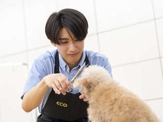 学部・学科・コース情報