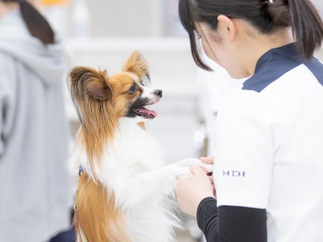 愛玩動物看護学科 医療の知識と思いやりに満ちた動物看護師を目指します。