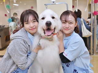  ヤマザキ動物看護専門職短期大学からのニュース画像[11512]