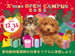 ★X'masオープンキャンパス★の画像