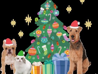 ★X'masオープンキャンパス★の画像